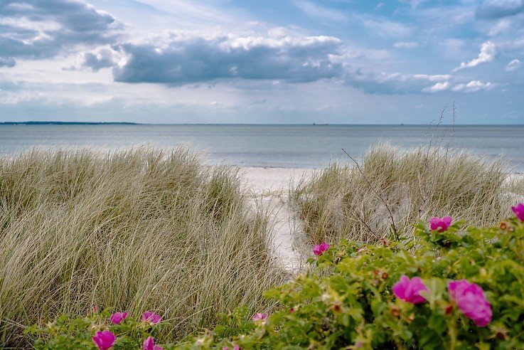 Naturschutzgebiet Bottsand und Ostseestrand bei Marina Wendtorf