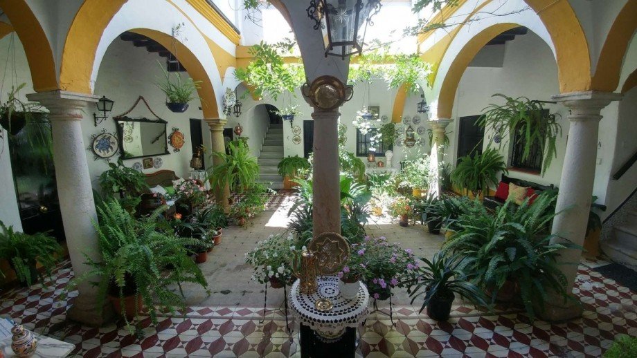  Terrassenwohnung San Roque