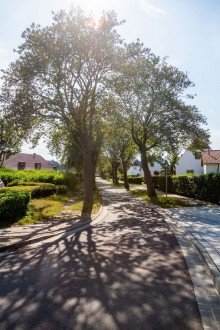 Nachbarschaft R�gen: OSTSEE-IDYLL Dranske